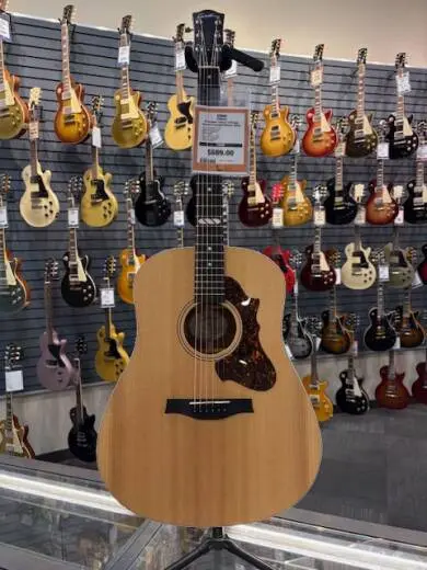 Godin Guitars - G48502